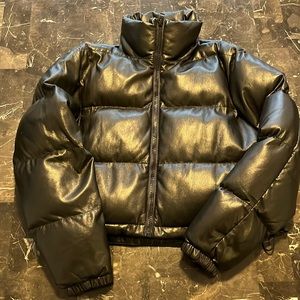 Aritzia Vista puffer